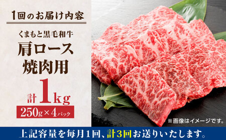 【3回定期便】くまもと黒毛和牛 焼肉用 肩ロース 1000g（250g×4pc）【馬刺しの郷 民守】 熊本県産 九州産 和牛 お肉 肉 バラ 黒毛和牛  [ZBL065]