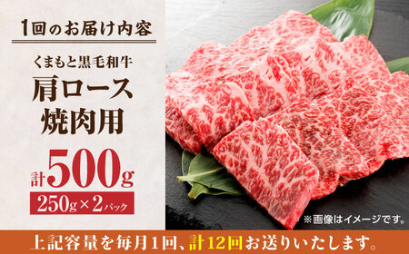 【12回定期便】くまもと黒毛和牛 焼肉用 肩ロース 500g（250g×2pc）【馬刺しの郷 民守】 熊本県産 九州産 和牛 お肉 肉 バラ 黒毛和牛 肩ロース 焼き肉  [ZBL120]