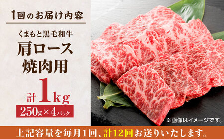 【12回定期便】くまもと黒毛和牛 焼肉用 肩ロース 1000g（250g×4pc）【馬刺しの郷 民守】 熊本県産 九州産 和牛 お肉 肉 バラ 黒毛和牛 肩ロース 焼き肉  [ZBL121]