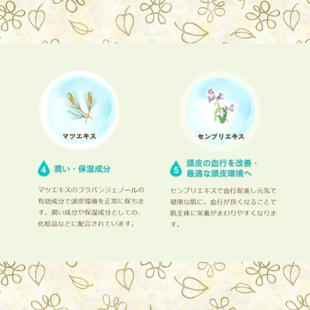 100%天然のヘアシャンプー「夢見るシャンプー」300ml 1本