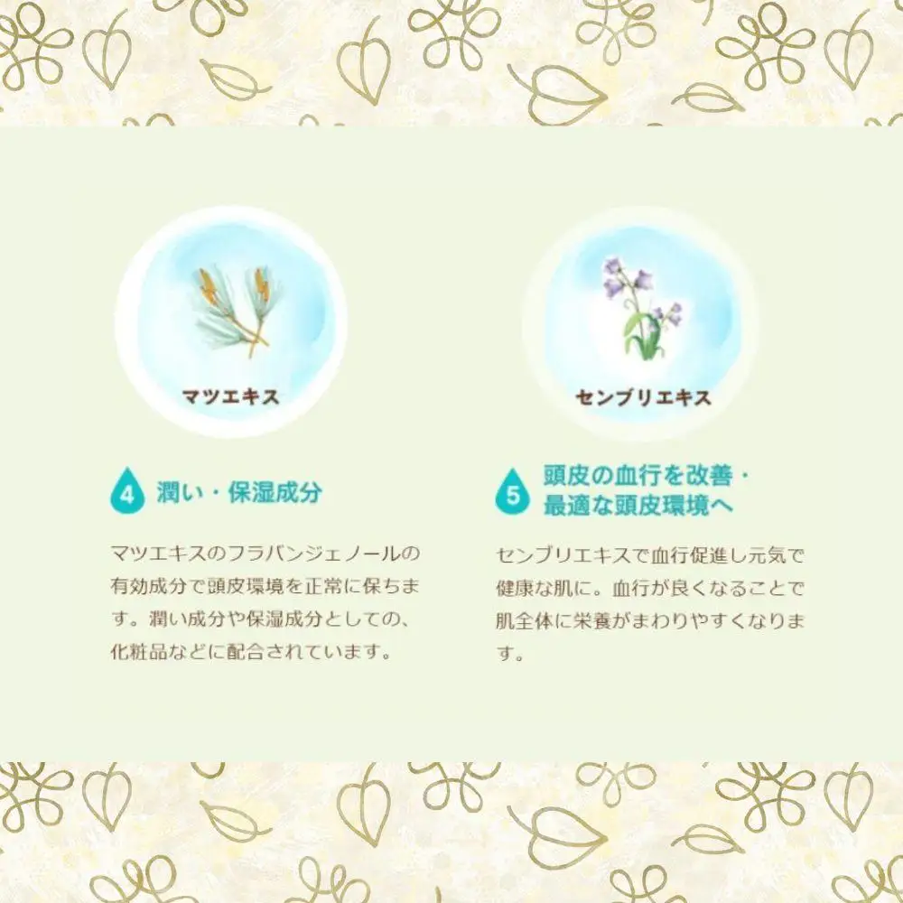100%天然のヘアシャンプー「夢見るシャンプー」300ml 3本セット