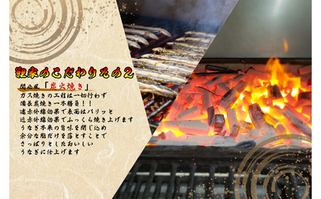 1721-2 【定期（全6回）】大人気！鯉家の極上蒲焼「大トロうなぎ（4尾）」【国産・手焼き備長炭】 KN040-T02 魚 冷凍 鰻