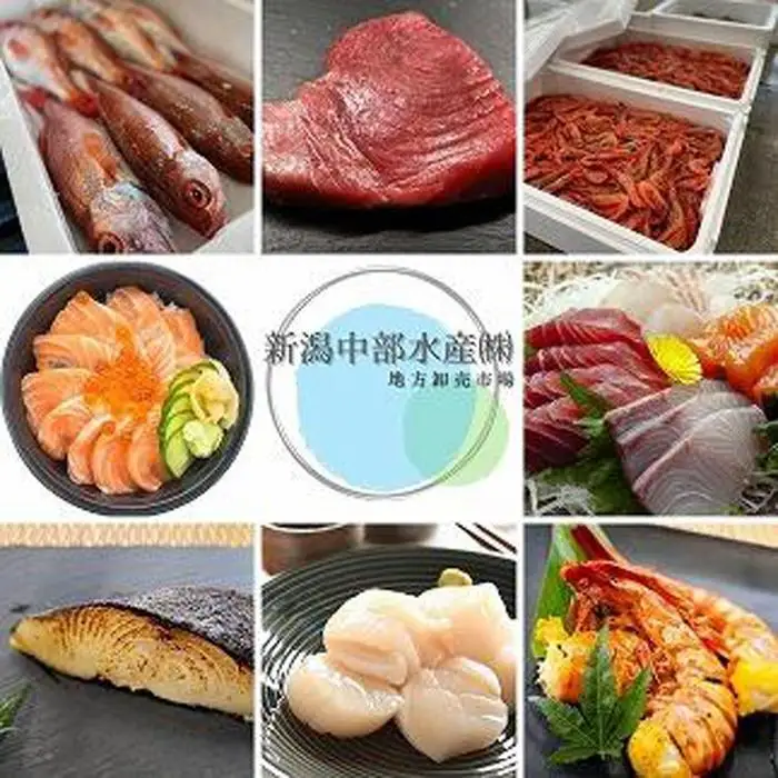 【魚市場直送】越後味噌漬　ほたて貝柱 350g+エゴ板セット 250g