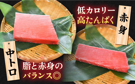 天然 本まぐろ 大トロ・中トロ・赤身（約200ｇ×3柵）約600ｇ 鮪 マグロ 魚 刺身 横須賀 【横須賀商工会議所 おもてなしギフト事務局（本まぐろ直売所 横須賀本店）】 [AKAK018]