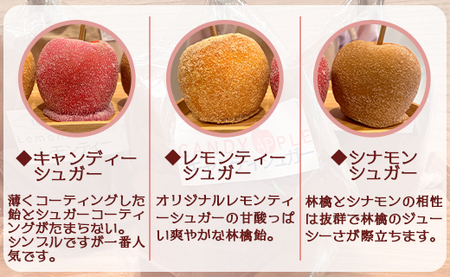 りんご飴 3種類から選べる3本セット 個包装 tuctuc【リンゴ飴 リンゴ飴食べ比べ 3種類のリンゴ飴 選べるリンゴ飴セット】 tt-0014
