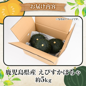 鹿児島県産 えびすかぼちゃ(約5kg) 国産 野菜 かぼちゃ カボチャ 南瓜 煮物 天ぷら バーベキュー BBQ スイーツ お菓子 期間限定【松永青果】akn053-04