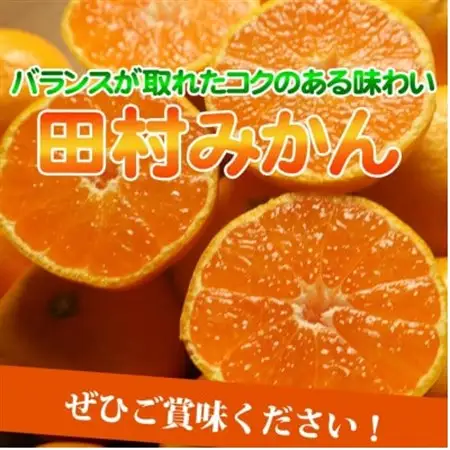 【2026年11月下旬より発送】高級ブランド田村みかん　5kg【1216839】