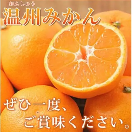【2026年11月下旬より発送】【ご家庭用訳アリ】紀州有田産濃厚完熟温州みかん　7.5kg【日高町】【配送不可地域：離島】【1216966】
