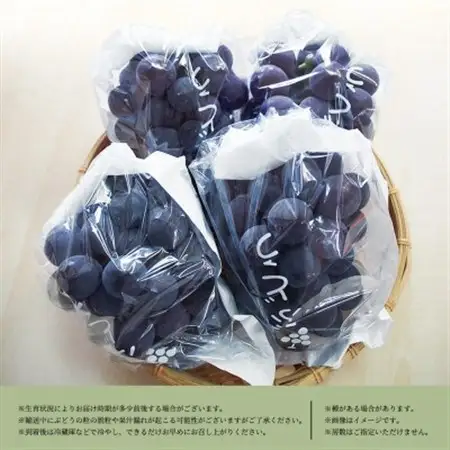 紀州和歌山産ピオーネ　約2kg【日高町】【配送不可地域：離島・北海道・沖縄県】【1217236】