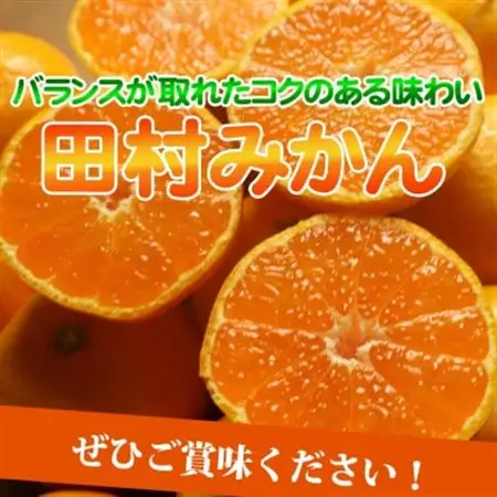 【2026年11月下旬より発送】【日高町】高級ブランド田村みかん　10kg【1217360】
