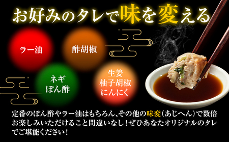 餃子 一口餃子 ひとくち 博多和牛 冷凍 25個 × 5パック 125個 清柳食産《30日以内に出荷予定(土日祝除く)》九州産 牛 肉  冷凍
