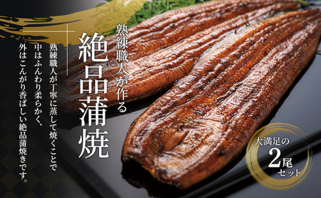 うなぎ 蒲焼き 2尾 (100g以上×2本)セット 国産 うなぎセット 国産うなぎ 浜名湖うなぎ