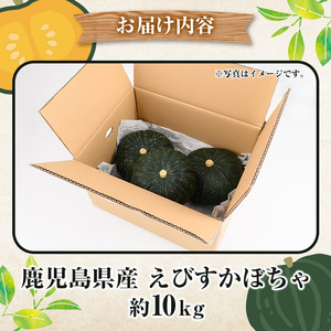 鹿児島県産 えびすかぼちゃ(約10kg) 国産 野菜 かぼちゃ カボチャ 南瓜 煮物 天ぷら バーベキュー BBQ スイーツ お菓子【松永青果】akn053-27