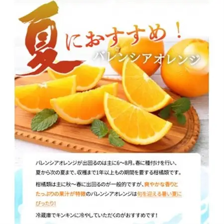 【2026年6月下旬頃発送】秀品　希少な国産バレンシアオレンジ　2.5kg【配送不可地域：離島】【1327765】