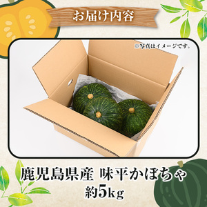 鹿児島県産 味平かぼちゃ(約5kg) 国産 野菜 かぼちゃ カボチャ 南瓜 煮物 天ぷら バーベキュー BBQ スイーツ お菓子【松永青果】akn053-24
