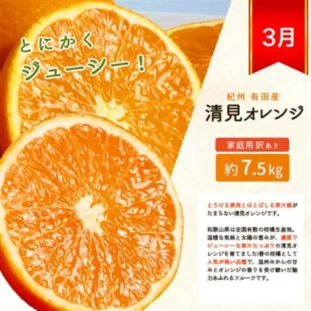 【発送月固定定期便】紀州和歌山産旬のご家庭用柑橘セット(みかん・不知火・清見)全3回【配送不可地域：離島】【4001339】