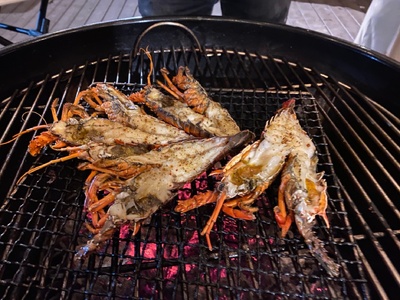 BBQ 利用券 1名様分 カブクリゾート 伊勢志摩 グランピング キャンプ アウトドア バーベキュー BBQ チケット 利用券 旅行券 旅行 日帰り グループ 団体 家族 友人 カップル 体験 宿泊 観光 伊勢 志摩 人気 おすすめ