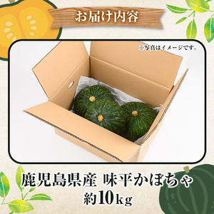 鹿児島県産 味平かぼちゃ(約10kg) 国産 野菜 かぼちゃ カボチャ 南瓜 煮物 天ぷら バーベキュー BBQ スイーツ お菓子【松永青果】akn053-32