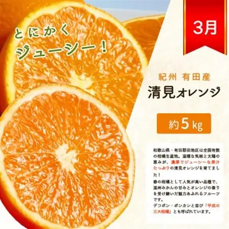 【発送月固定定期便】紀州和歌山産旬の柑橘セット(みかん・ポンカン・清見)全3回【4001342】