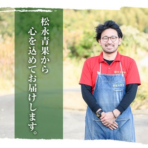 鹿児島県産 小玉スイカ(2玉) 国産 果物 スイカ すいか 西瓜 フルーツ スイーツ スムージー ジュース 期間限定【松永青果】akn053-06