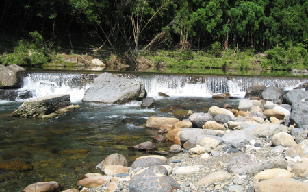 【令和7年産 数量限定】 四万十 の 米どころ 山間地域で育てた 大宮米 ヒノヒカリ 10kg 高知県 高知 しまんと 国産 お米 米 白米 精米 ひのひかり 低農薬栽培 ご飯 産地直送 26-789