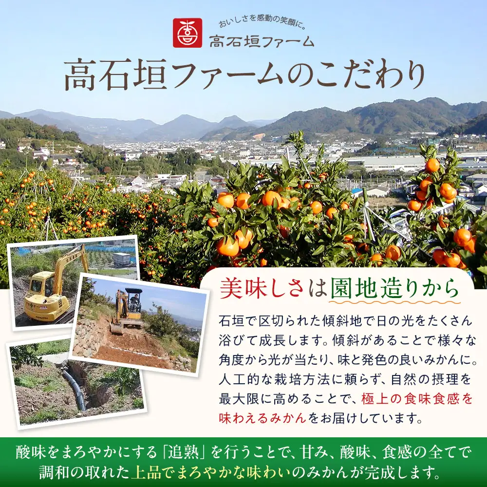 有田みかん 約3kg みかん 2S～2Lのいずれか 秀品または優品 しにせの味
