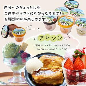 松本牧場アイス定期便（6個入り×2回）／ ジェラート アイスクリーム【Z056】