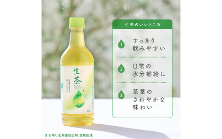 【定期便6回】キリン 生茶 525ml × 24本 6ヶ月