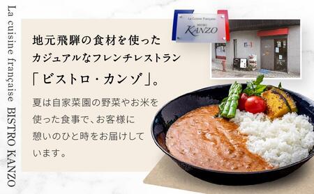 飛騨牛レッドキーマカレー ほど良い辛さの癖になるカレー（200g×4個）【合同会社ワイディエヌ MT001】