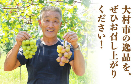 【2026年8月中旬より順次発送予定】シャインマスカット・ぶどうセット 約1.5kg / 先行予約 シャインマスカット しゃいんますかっと マスカット ますかっと ブドウ ぶどう 葡萄 フルーツ ふるーつ 果物 くだもの 期間限定 数量限定 / 大村市 / おおむら夢ファームシュシュ[ACAA007]