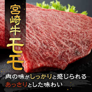 【令和8年6月発送】宮崎牛 ステーキ 2種 600g 牛肉 ステーキ