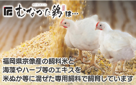 宗像産ブランド鶏【むなかた鶏】モモ肉4kg（平飼い）【JAほたるの里】_HA1416