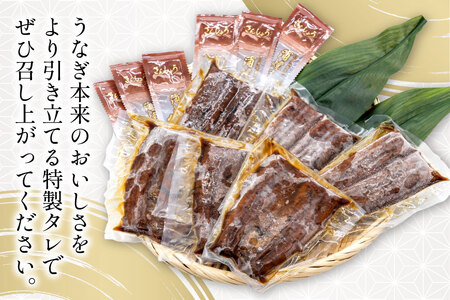 うなぎ 国産 静岡 うなぎ蒲焼 ハーフカット 100g ×6 計600g [静岡鰻販売 静岡県 吉田町 22424172]