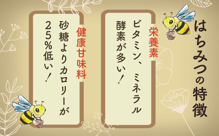  純粋日本はちみつ 白山ひめみつ 280g×2個