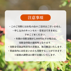 ＜返礼品なし＞大阪府箕面市への寄附(寄附額100,000円)