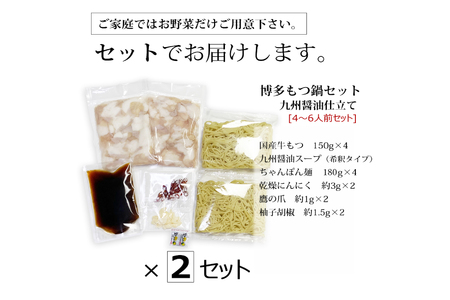 博多もつ鍋 セット (九州醤油仕立て) 4～6人前 [ベネフィス 福岡県 筑紫野市 21761408]