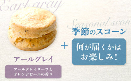 リッチハニースコーン アソート 10個 多治見市/famfam 焼菓子 スコーン [TAK010]