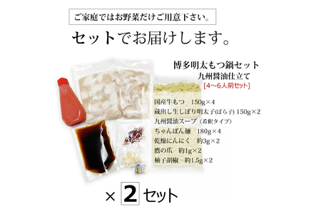 博多明太もつ鍋 セット（4～6人前） [ベネフィス 福岡県 筑紫野市 21761409]