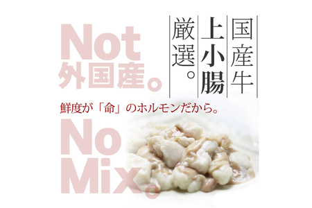 九州味噌もつ鍋 牛もつ 1.05kg 10人前 (九州味噌スープ付) [ベネフィス 福岡県 筑紫野市 21760847]