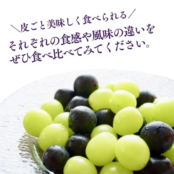 【2026年先行予約】シャインマスカット ＆ ナガノパープル 詰め合わせ セット  計約1kg（2~3房）※最低900g以上 ｜シャインマスカット ナガノパープル