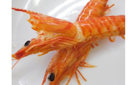 訳あり 夏海老のみそ漬け（食べやすいサイズ 車海老の味噌漬け） 010-C168