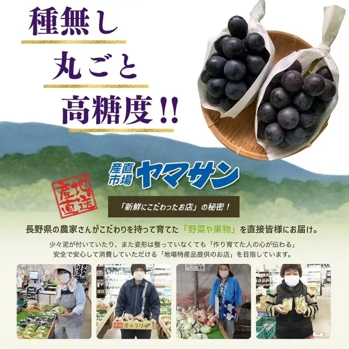 【2026年先行予約】ナガノパープル 約2kg（4~6房）※最低1.8kg以上｜ぶどう ぶどう