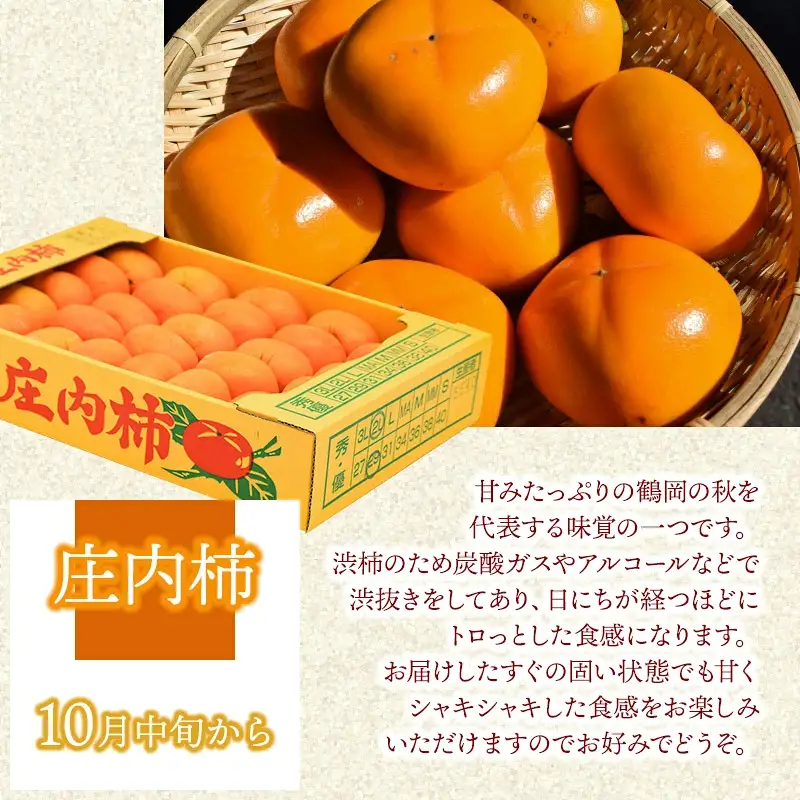 【令和8年産 先行予約】鶴岡の秋のフルーツ満喫便【3回お届け】白桃・和梨・庄内柿　山形県鶴岡産　株式会社　元青果