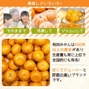 ZJ6084_【2026年先行予約】ご家庭用　和歌山有田みかん 約5kg (2L、3Lサイズいずれか)【湯浅町】