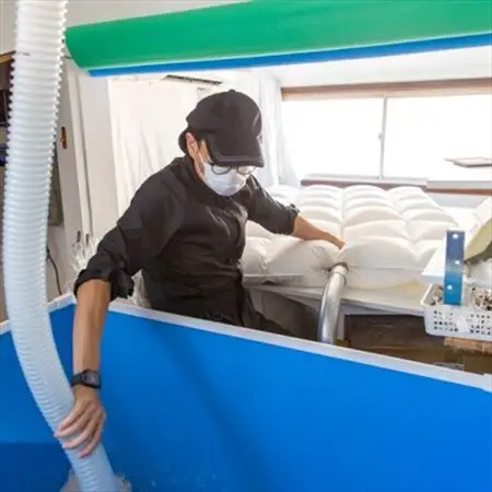 ポーランド産コウダ種マザーグース ダウン95% 冬用羽毛ふとん セミダブルサイズ【1457446】