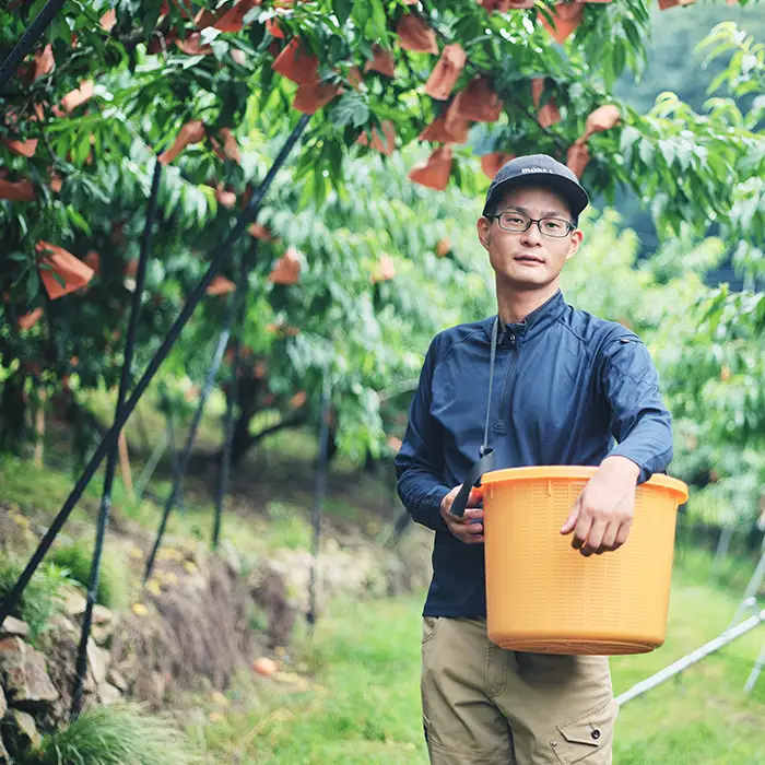 【ご家庭用】岡山白桃 清水白桃 5～7玉【2026年7月中旬頃から順次発送】