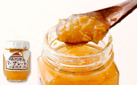 低糖度ジャム 4種類 詰合せ 140g×4個 【 いちご・マーマレード・ブルーベリー・りんご 】