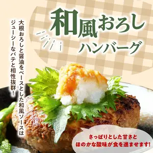 デミグラスハンバーグ・和風おろしハンバーグセット各160g×6個 A05071