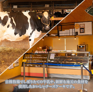  スフレチーズケーキ 5号サイズ×2個 チーズケーキ チーズケーキ チーズケーキ チーズケーキ