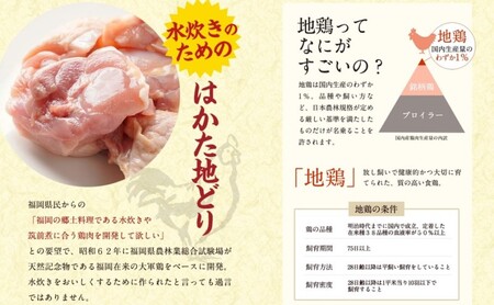 水炊き セット 2～3人前 コラーゲン スープ付き 福岡 限定！はかた地どり 美人水炊きセット 鶏 肉 とり肉 鳥肉 鶏肉 鍋 なべ ポン酢 地鶏 冷凍 贈答品 送料無料 配送不可：離島 